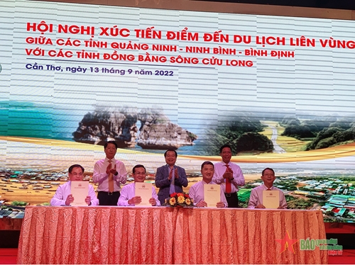 Liên kết du lịch giữa Quảng Ninh, Ninh Bình, Bình Định với các tỉnh, thành Đồng bằng sông Cửu Long